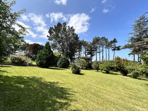 Photo 43- click for photo gallery